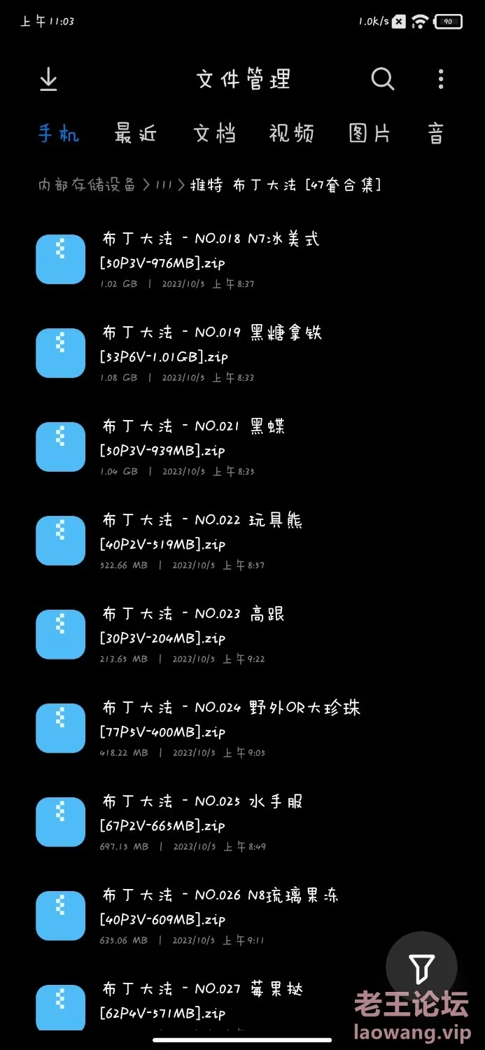 布丁大法（47套合集）_老王论坛