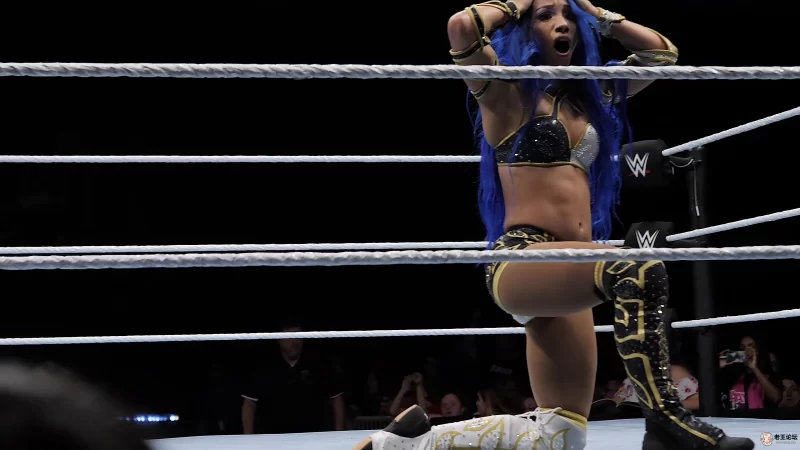 4K 世界摔角娱乐WWE 摔跤手对决 60帧率视频Sasha Banks PK Nikki Cross（4kmee.com专.jpg