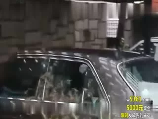 gagse55oroz.jpg