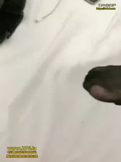 hfjkk0yu3sc.jpg