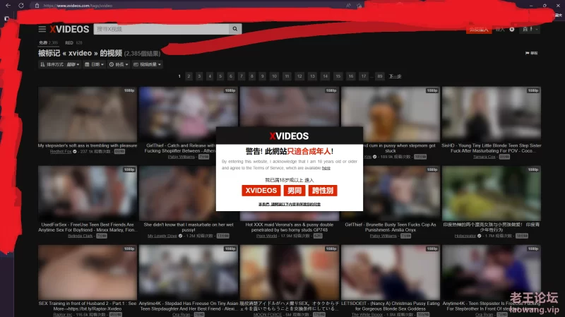 xvideo 視頻 - XVIDEOS.COM 和另外 20 个页面 - 个人 - Microsoft​ Edge 2023_2_6 21.png