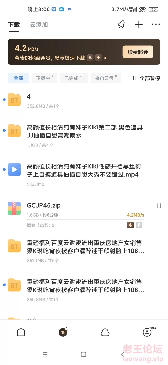 Screenshot_2023-12-28-20-06-41-594_com.xunlei.downloadprovider.jpg