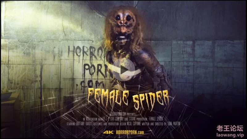 Female spider.JPG