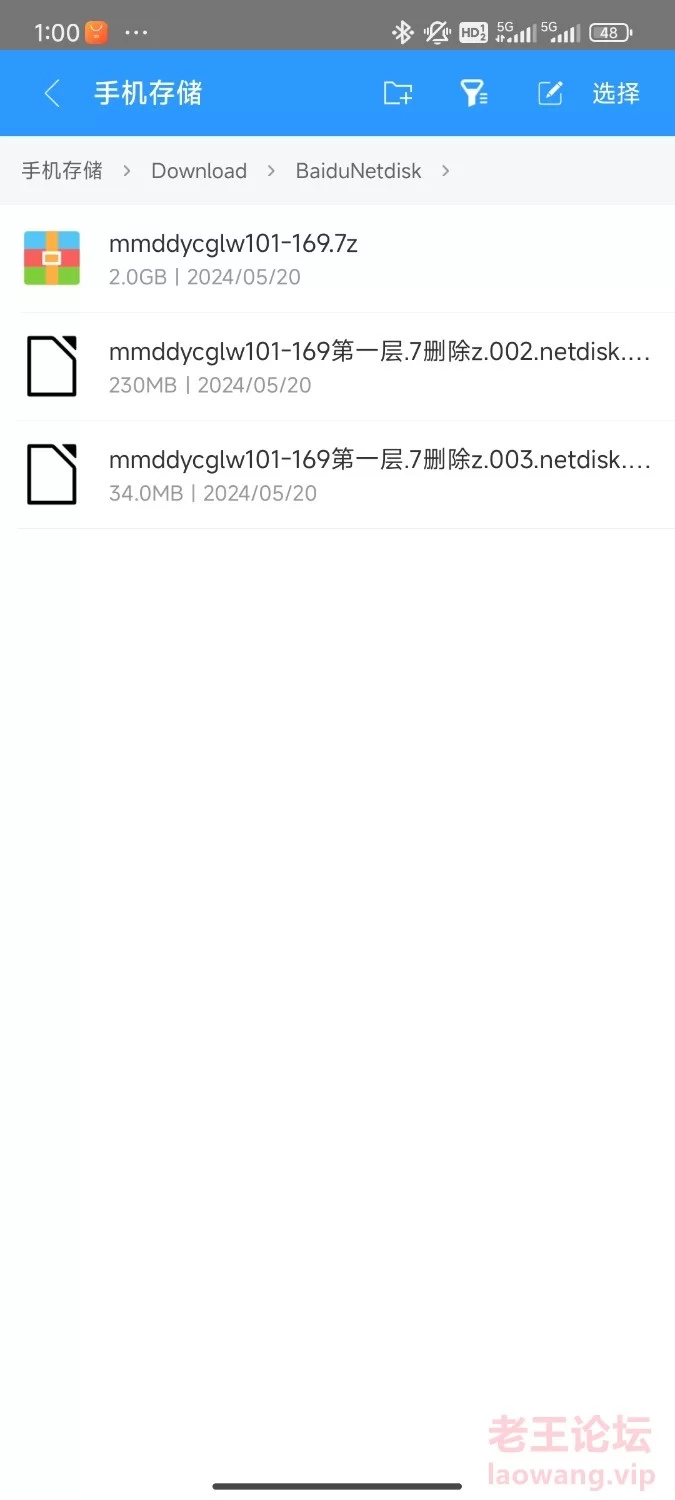 Screenshot_2024-05-20-13-00-33-235_com.ZArchiver.chengyuda.jpg