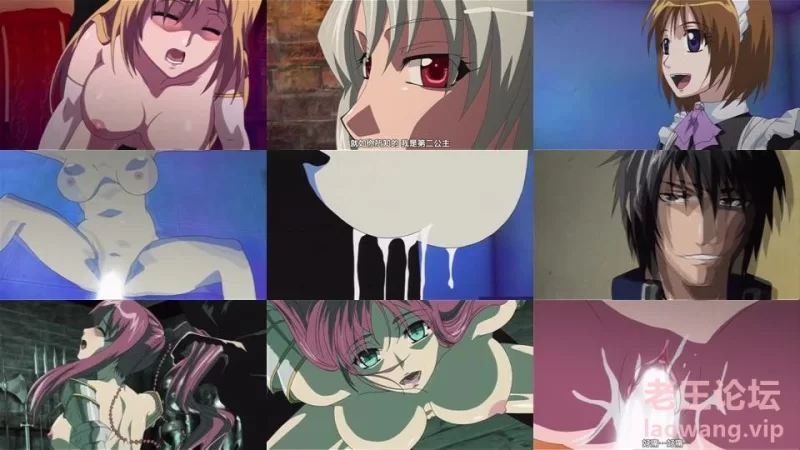 shrdmcacvf5.jpg