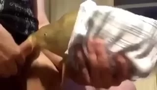 rzhmt0wtomc.jpg