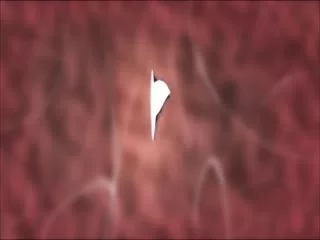 bphsn0yh55d.jpg