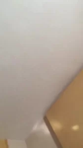 y1hgcm4imgn.jpg