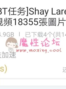 [惹火艳星Shay Laren终极**合集绝版收藏][1V/15.26GB] [BT]