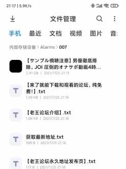 <b style='color: red;'>[已失效] </b>【自行打包】wssr-004淫语，黑丝袜，1v，2.24GB，百度云
