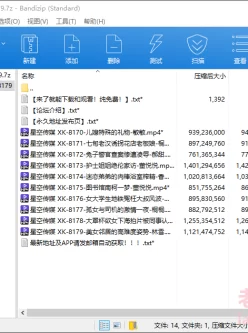 <b style='color: red;'>[已失效] </b>[自行打包] 星空传媒 XK8170-XK8179 合集 [10V+9.3G][百度盘]