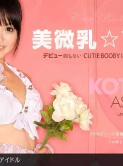 1pondo-110511_210-美微乳★アイドル[01:03:48]