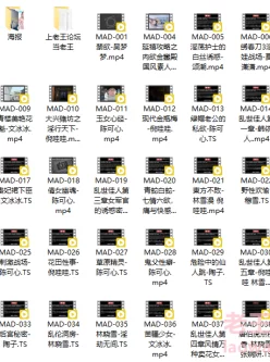 [自行打包] 【申精】麻豆映画传媒 MAD爱豆系列最全合集 [MAD001~041] [38V+18.1 GB][百度秒传]