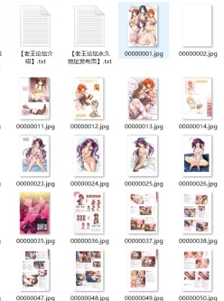 妻中密游戏设定集 自打包 47.7mb233p