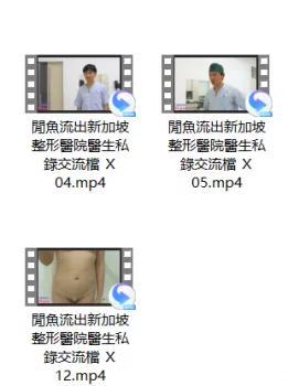 <b style='color: red;'>[已失效] </b>【自行打包】新加坡整形医生内部交流视频【12V 20P 4.6G】