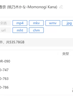 <b style='color: red;'>[已失效] </b>桃乃木香奈全集,535GB+磁力链下载