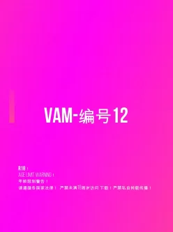 [自行打包] 无码无第三方水印1080p 斗破雅妃黑丝 [1v+2.59G][百度盘]