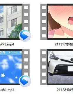 <b style='color: red;'>[已失效] </b>2021.12月里番合集【10V 2GB】【百度云】