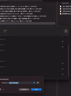 <b style='color: red;'>[已失效] </b>[自行打包]枫可怜2021一月至八月合集[7V21P43.78G][百度云]