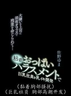 [转载搬运] 被主管要求加班到深夜的巨乳女社员 [1v+6.5G][附件下载]
