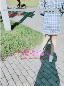 【原站搬运】真空裙子里塞跳蛋边走边喷，地下全是水【3v/3.44GB】【百度网盘】