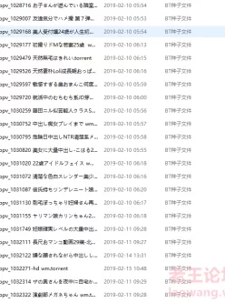 fc2ppv 2019年合集全套