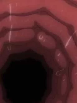 [转载搬运] 口唇之欲 [V1+2G][百度秒传]