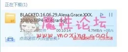 Blacked  [中文字幕] Alexa Grace 金发女友和黑鬼3P【1v/2.97g】【磁力链接】