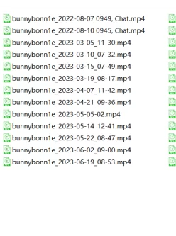 [自行打包] 三部曲【中卷】CB站主播bunnybonn1e超大合集 [14v+70.8G][百度盘]