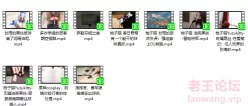 [转载搬运] 柚子合集第二弹 [10v+11G][百度盘]