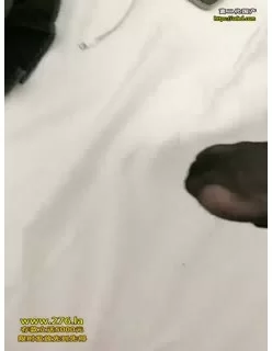 床上的黑丝尤物，颜值高身材好撅着屁股给狼友看美鲍特写，让小哥无套抽插骚穴，边草边喷好爽刺激，呻吟可射[01:08:39]