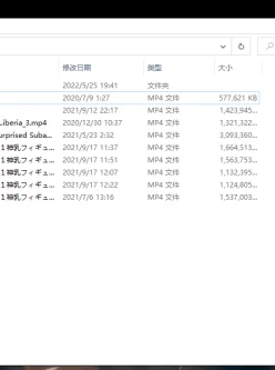 [转载搬运] cos蕾姆小合集 有部分骑兵 [7v+12.8g][百度盘]