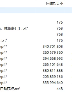 [自行打包] allinika P站博主后续更新视频 [7V+1.96G][百度秒传]