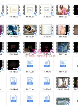 【原站搬运】【全集整合】日本东方梦FH无ma系列全集[81V77GB][百度盘]