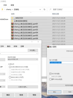 <b style='color: red;'>[已失效] </b>[申精][自行打包]P站cherry grace 57.24G198V