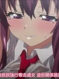 <b style='color: red;'>[已失效] </b>[自行打包] 3部开发日记 [3+810Mb,1.15Gb,255mb][百度盘]
