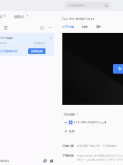 FC2中颜值较高，年轻可爱的妹子11V31G【磁力链接】