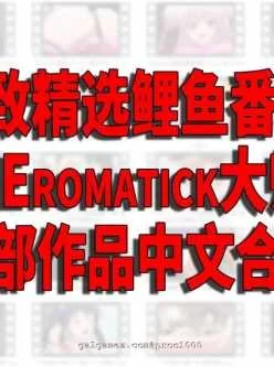 <b style='color: red;'>[已失效] </b>【2D/汉化/全动态】Studio Eromatick 全42部作品中文步兵合集【精品合集/7G】