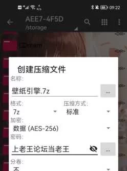 [自行打包] 壁纸引擎-r18壁纸合集 [50+正经，80+r18，一共159个+2.68g][百度盘]