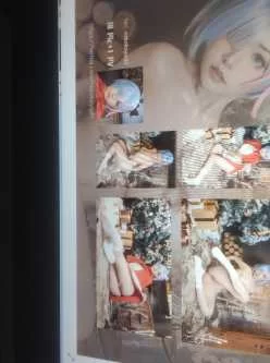 爆机少女蕾姆   度盘   286m   永久链接