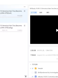 [转载搬运] NFBusty.19.09.13.Veronica.Vain.Two.Become.One [1V+750M][磁力链接]