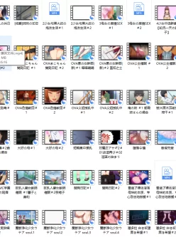 [转载搬运] 117+49部雷火箭合集 [V 166部+34G][百度盘]