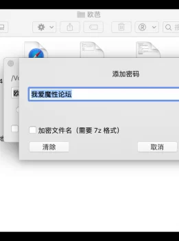 <b style='color: red;'>[已失效] </b>【自行打包】芭蕾相关2套【2v+3.3g】【百度云】
