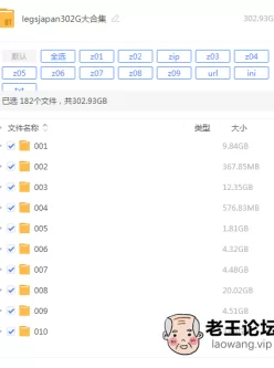 Legsjapan日本美腿大合集【302G】 磁力