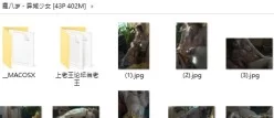 <b style='color: red;'>[已失效] </b>[自行打包] 鹿八岁 - 异域少女 [43p+400m][百度盘]