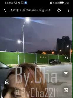 [转载搬运] （转载）查小理吴晗漏出自慰啪啪 [8V+11G][附件下载]