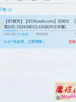 花样女鬼[HD-1024.MKV]1.63GB[中文字幕].mkv.bt