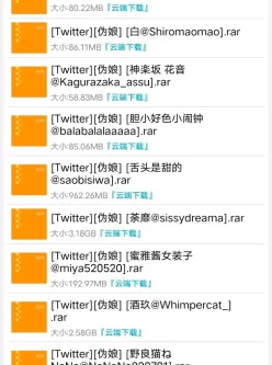 [转载搬运] Twitter推特高质量52套8900张图片视频合集 伪娘篇20G [52套8900张+21.2GB][磁力链接]