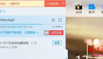 亚裔电击女王视频合集打包下载236GB