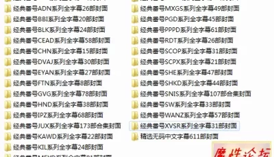 **中文字幕611部+精品剧情中文字幕5000部[合集][BT种子]